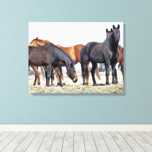 HORSES CANVAS AFDRUK (Insitu (Houten vloer))