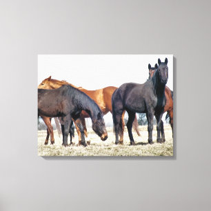 HORSES CANVAS AFDRUK