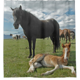 Horses Douchegordijn