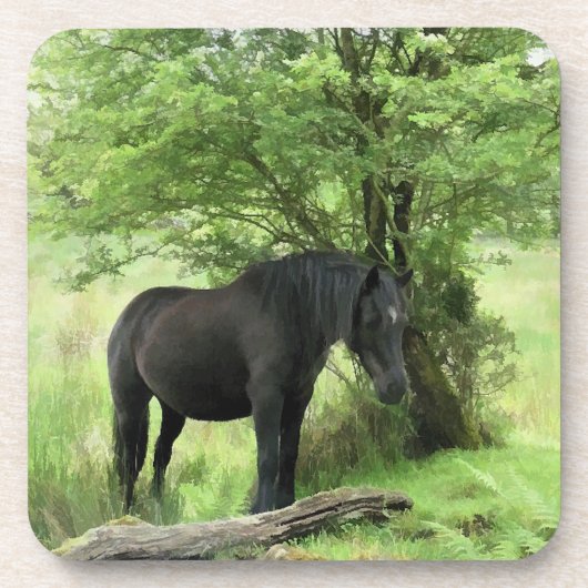 HORSES DRANKJES ONDERZETTER (Voorkant)