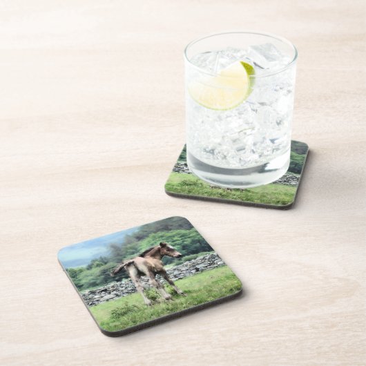 HORSES DRANKJES ONDERZETTER (Rechterzijde)