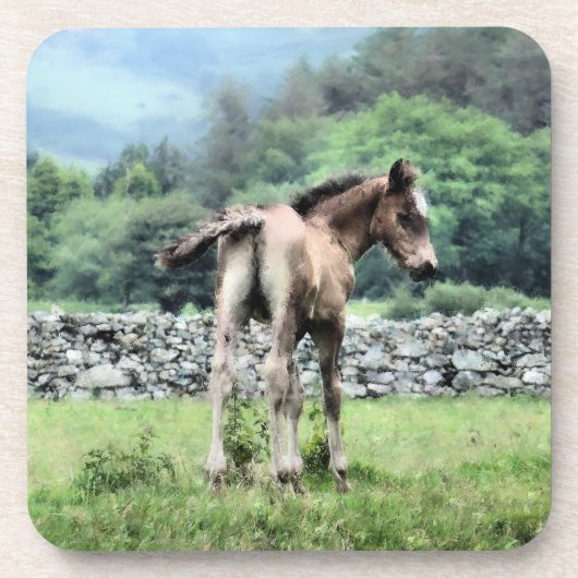 HORSES DRANKJES ONDERZETTER (Voorkant)