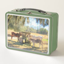 Horses en Donkey Lunch Time