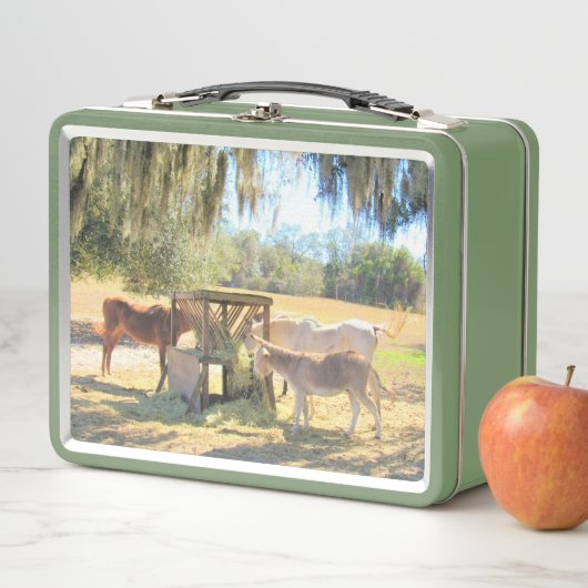 Horses en Donkey Lunch Time (In situ)