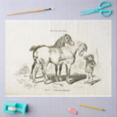Horses Ephemera Decoupage  Frans Jongen Tissuepapier (Craft)