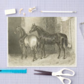 Horses Ephemera Decoupage  Frans Tissuepapier (Craft)
