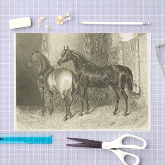 Horses Ephemera Decoupage Frans Tissuepapier (Craft)