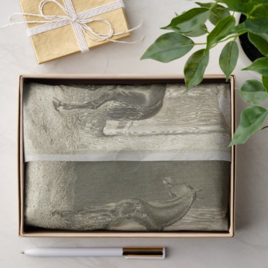 Horses Ephemera Decoupage Frans Tissuepapier (Geschenk)