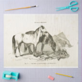 Horses Ephemera Decoupage  Frans Tissuepapier (Craft)