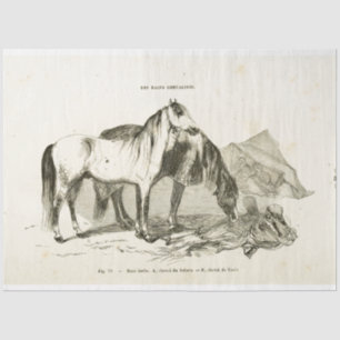 Horses Ephemera Decoupage  Frans Tissuepapier