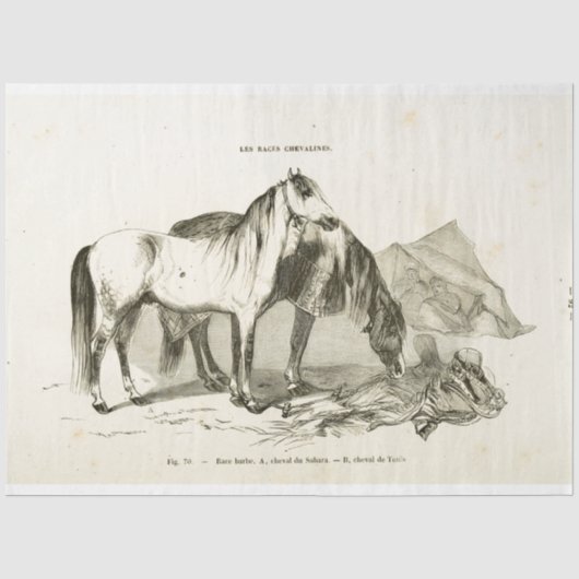 Horses Ephemera Decoupage  Frans Tissuepapier (Voorkant)