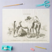 Horses Ephemera Decoupage  Frans Tissuepapier (Craft)