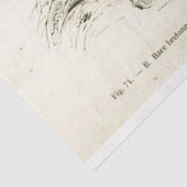 Horses Ephemera Decoupage  Frans Tissuepapier (Detail)