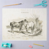 Horses Ephemera Decoupage  Frans Tissuepapier (Craft)