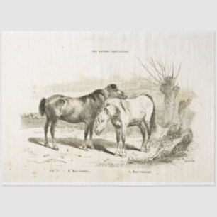 Horses Ephemera Decoupage  Frans Tissuepapier