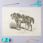 Horses Ephemera Decoupage  Frans weefsel P Tissuepapier (Craft)