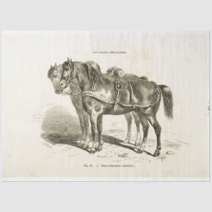 Horses Ephemera Decoupage  Frans weefsel P Tissuepapier
