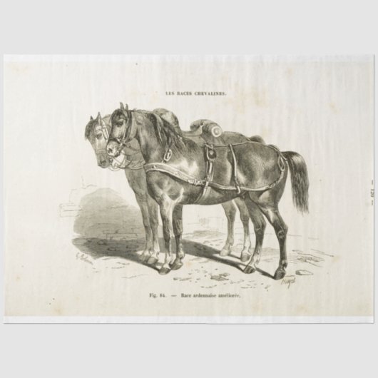 Horses Ephemera Decoupage  Frans weefsel P Tissuepapier (Voorkant)