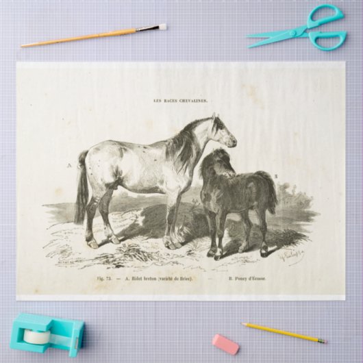 Horses Ephemera Decoupage  Franse Pony Tissuepapier (Craft)