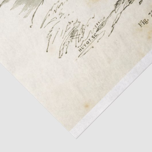 Horses Ephemera Decoupage  Franse Pony Tissuepapier (Detail)