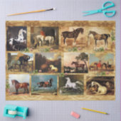 HORSES FINE ART PAINTINGS PARCHMENT, HOEFIJZERS TISSUEPAPIER (Craft)