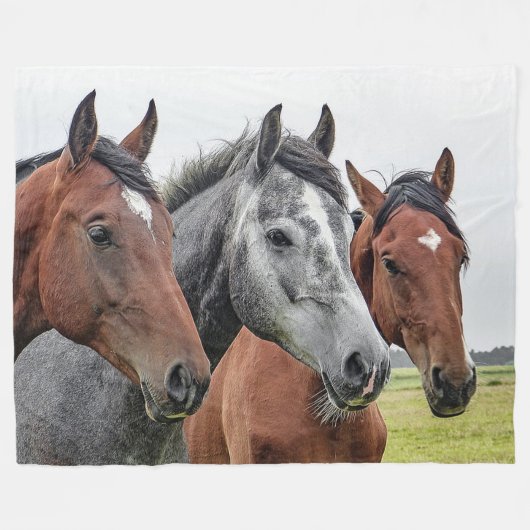 Horses Fleece Blanket Deken (Voorkant (Horizontaal))