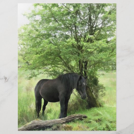 HORSES FLYER (Voorkant)