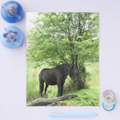 HORSES FLYER (Enkel)