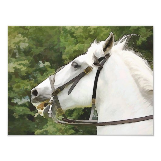 HORSES FOTO AFDRUK (Voorkant)