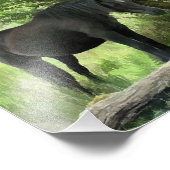 HORSES FOTO AFDRUK (Hoek)