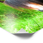 HORSES FOTO AFDRUK (Hoek)