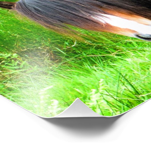 HORSES FOTO AFDRUK (Hoek)