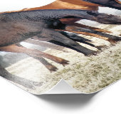 HORSES FOTO AFDRUK (Hoek)