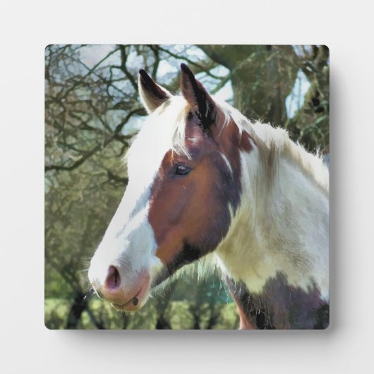 HORSES FOTOPLAAT (Voorkant)