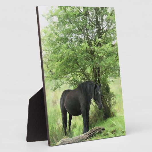 HORSES FOTOPLAAT (Zijkant)