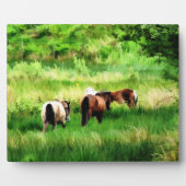 HORSES FOTOPLAAT (Voorkant)