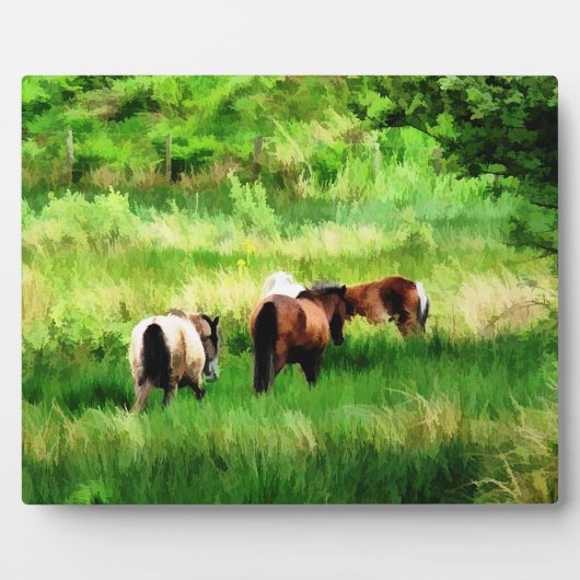 HORSES FOTOPLAAT (Voorkant)