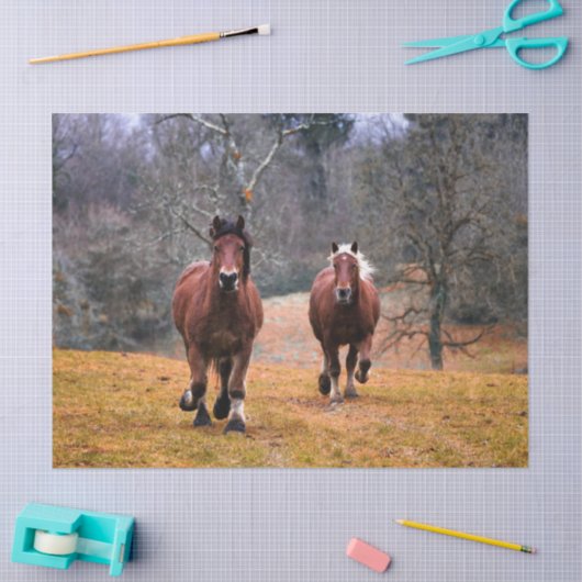 Horses Galloping Decoupage Tissue Paper Tissuepapier (Craft)