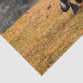 Horses Galloping Decoupage Tissue Paper Tissuepapier (Detail)