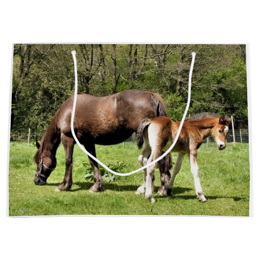 HORSES GROOT CADEAUZAKJE (Voorkant)