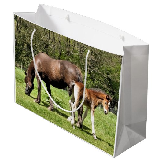 HORSES GROOT CADEAUZAKJE (Achterkant Gekanteld)