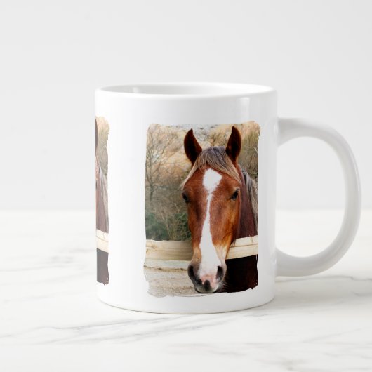 HORSES GROTE KOFFIEKOP (Rechts)