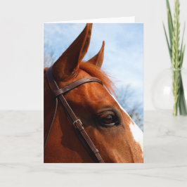 Horse's Head Foto Wenskaart Kaart