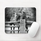 Horses Hugging - foto van paardenliefdesfoto Muismat (Met muis)