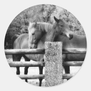Horses Hugging - foto van paardenliefdesfoto Ronde Sticker