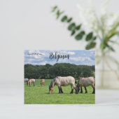 Horses in Durbuy Belgium Briefkaart (Staand voorkant)