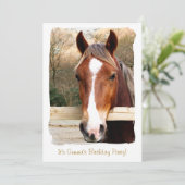 HORSES KAART (Staand voorkant)