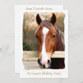 HORSES KAART (Voorkant / Achterkant)