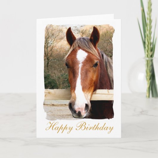 HORSES KAART (Voorkant)