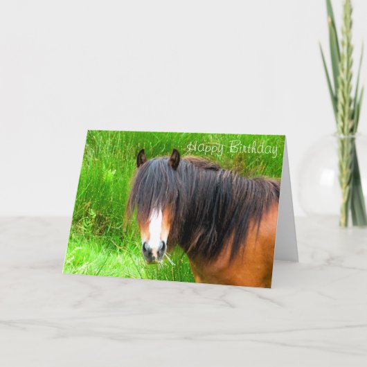 HORSES KAART (Voorkant)